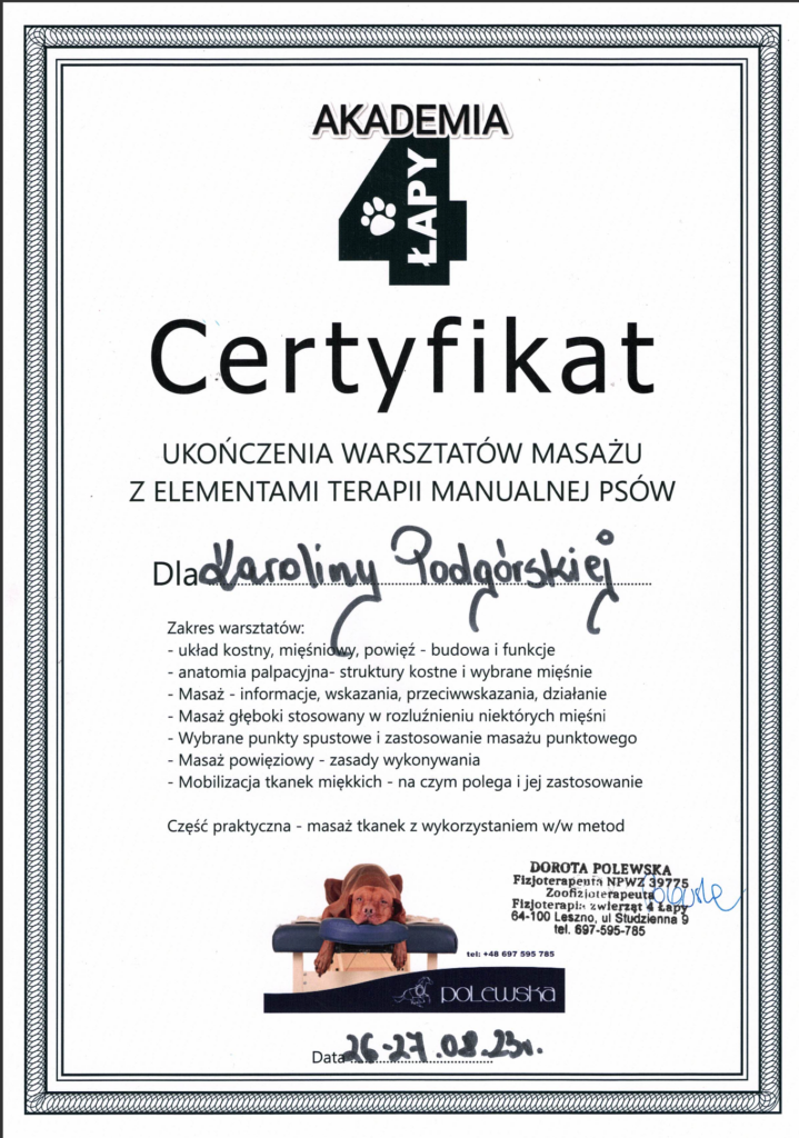 Certyfikat 2