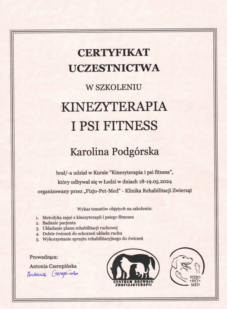 kinetyzerapia i psi fitness