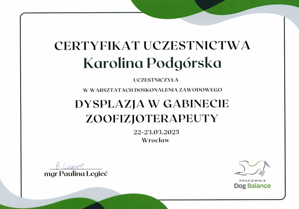 Dysplazja-w-gabinecie-zoofizjoterapeuty