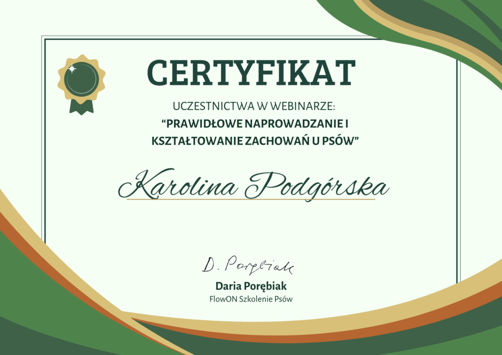 Prawidłowe naprowadzanie i kształtowanie