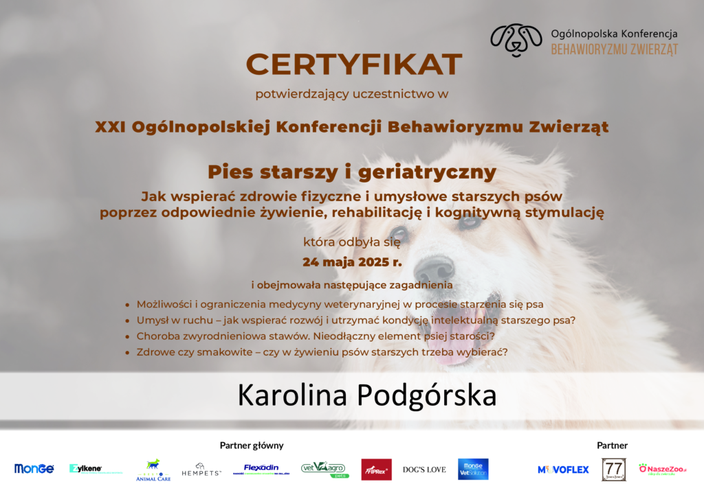 Konferencja-pies-starszy-i-geriatryczny