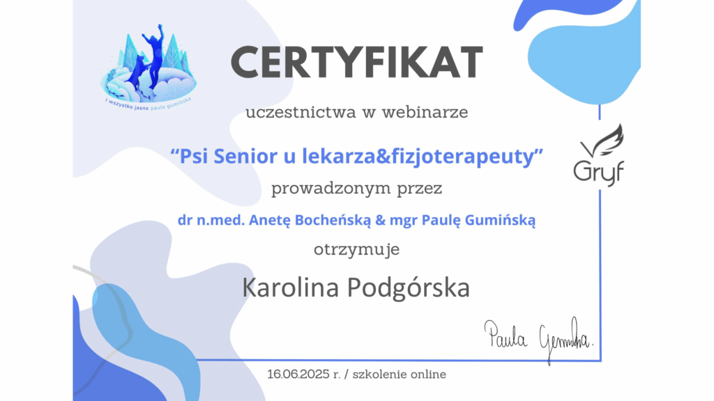 Psi-senior-u-lekarza-_-fizjoterapeuty