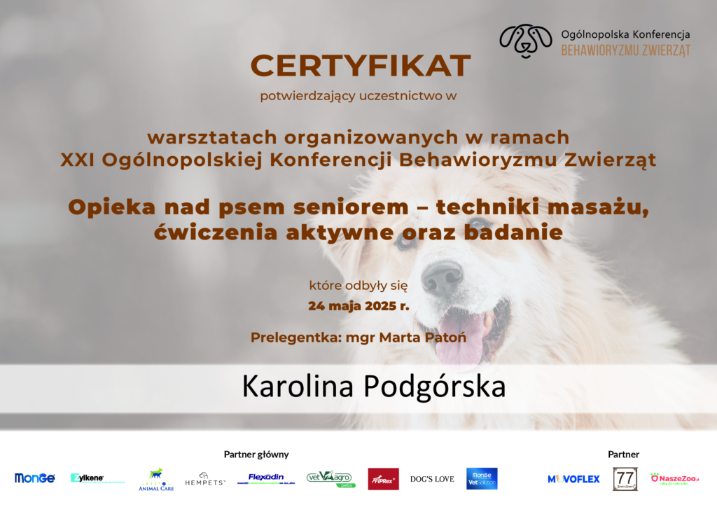 Warsztaty-masaż_-ćwiczenia-oraz-badanie-psa-seniora